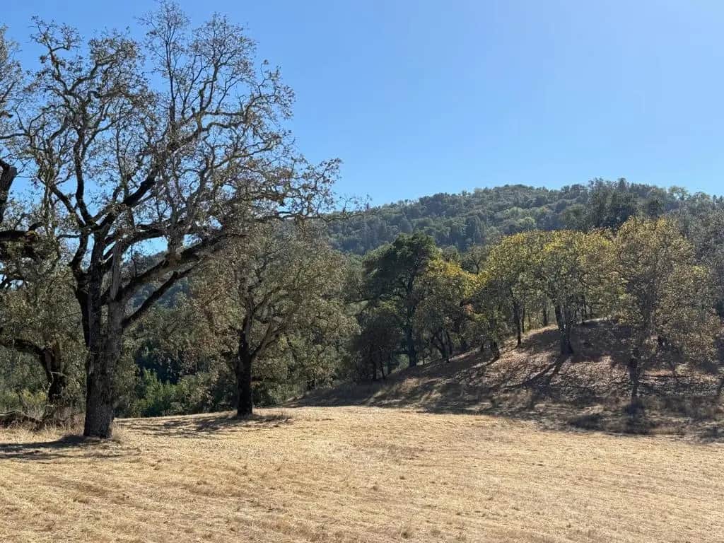 39 Arroyo Sequoia (Lot 114), Carmel, CA — listing photo 1