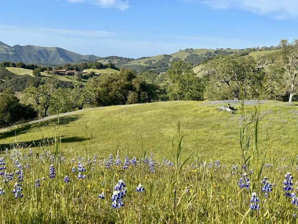8 Touche Pass (Lot 158), Carmel, CA — listing photo 1
