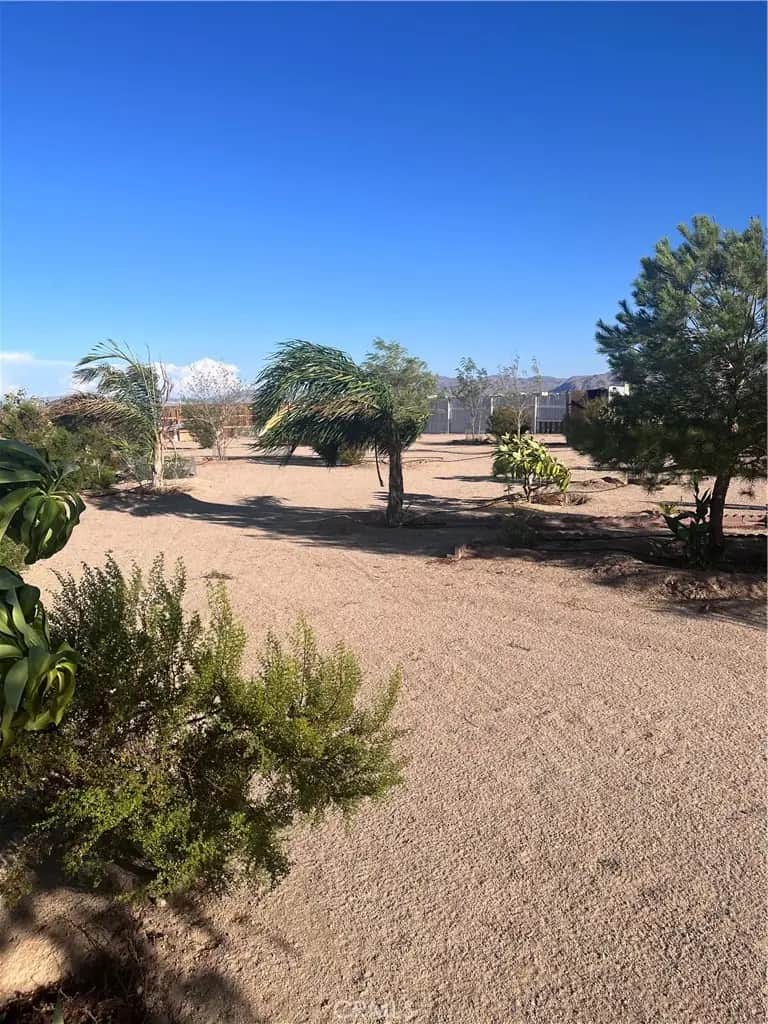 3423 Canyon Rd, 29 Palms, CA — listing photo 1