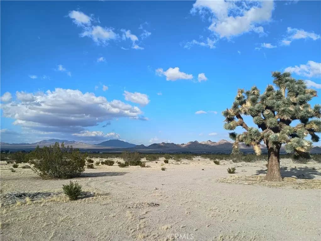 9823 Joshua, Lucerne Valley, CA — listing photo 1