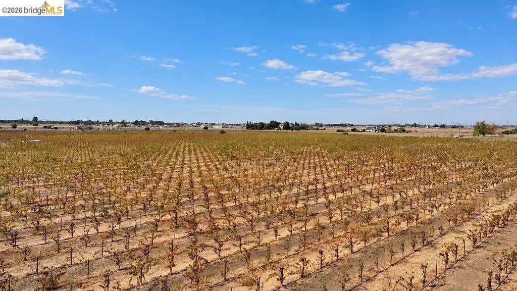 2600 Tule Ln, Knightsen, CA — listing photo 1