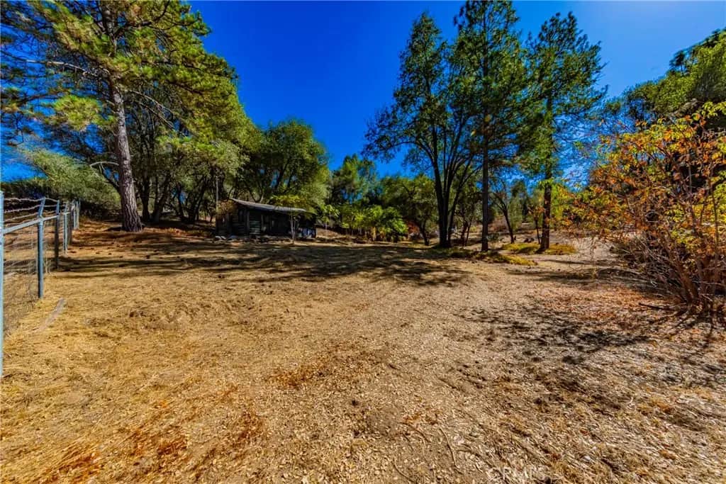 0.52 AC Daisy Lane, Oakhurst, CA — listing photo 1