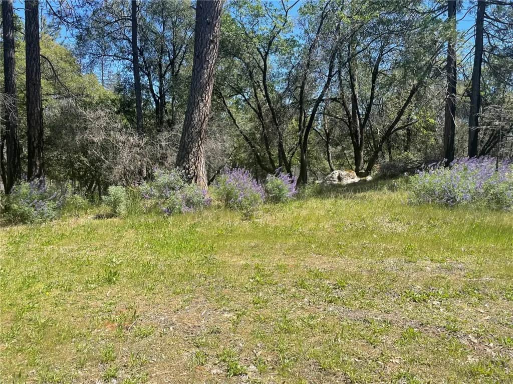 0 Lumpkin Road, Feather Falls, CA — listing photo 1