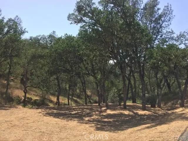 2677 Pine Ridge Road, Bradley, CA — listing photo 1