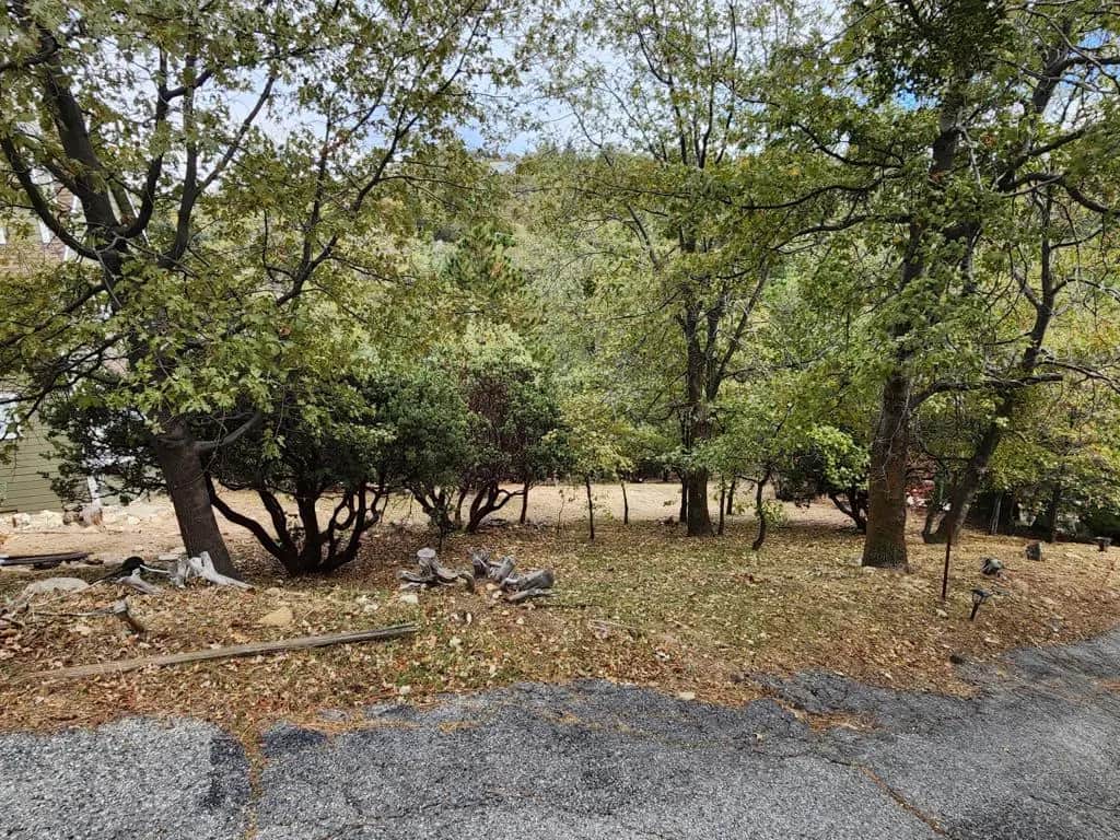 0 Portillo - Lot #62, Lake Arrowhead, CA — listing photo 1
