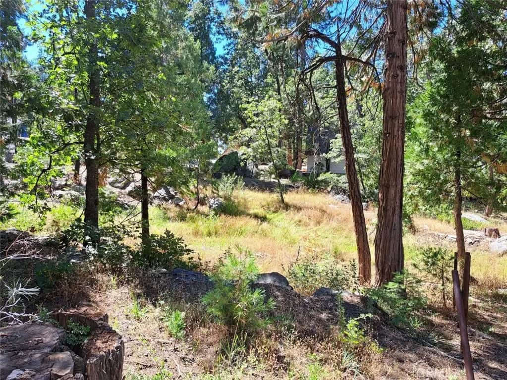 41290 Kokanee, Shaver Lake, CA — listing photo 1