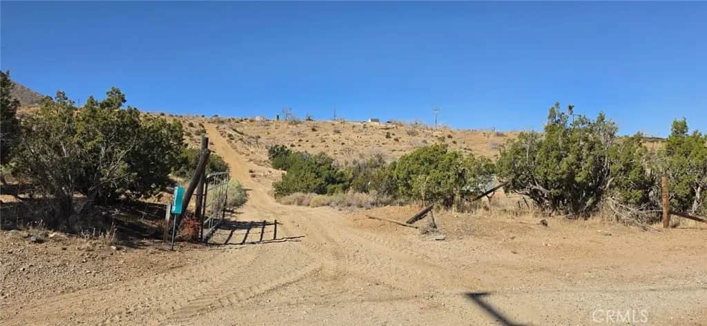 29319 121st E, Juniper Hills, CA — listing photo 1
