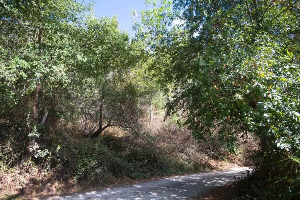 0 Vistiar Street, Felton, CA — listing photo 1