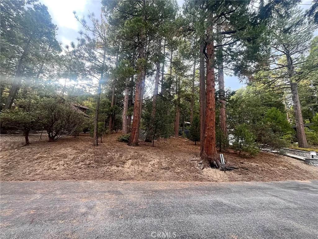 0 Double Tree Dr, Idyllwild, CA — listing photo 1