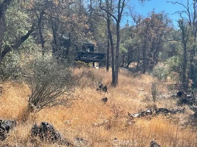 12 Tippy Top Road, Honcut, CA — listing photo 1