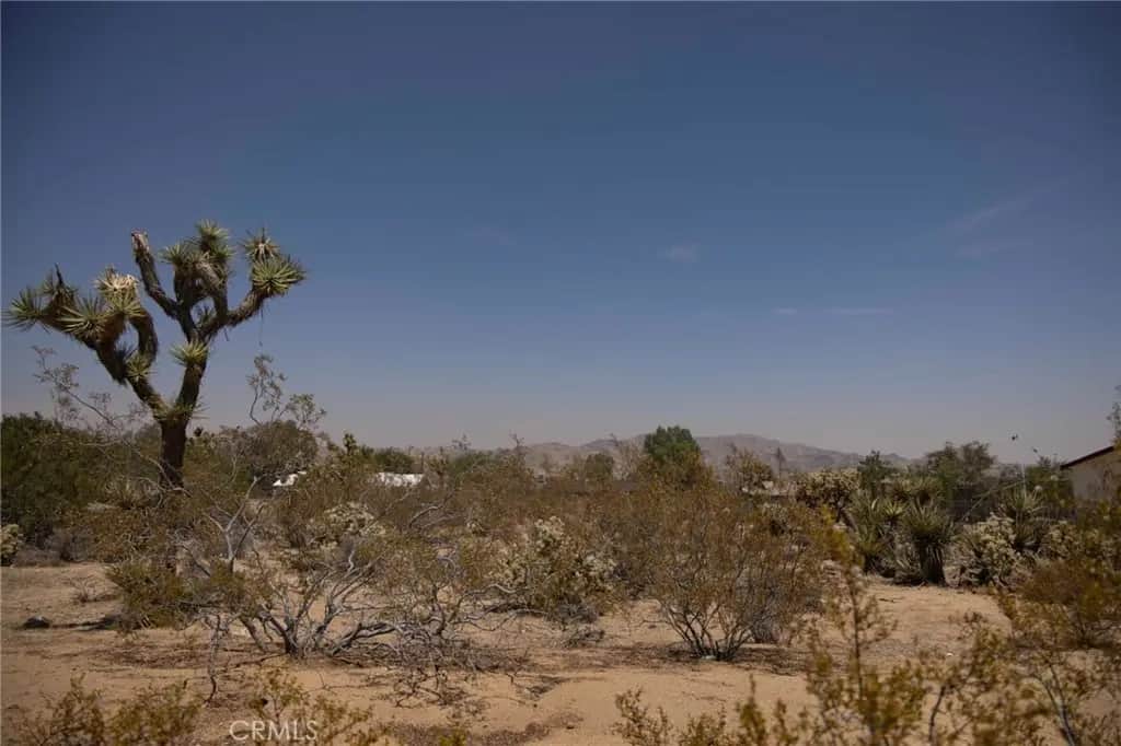 0 Alta Mura Drive, Joshua Tree, CA — listing photo 1