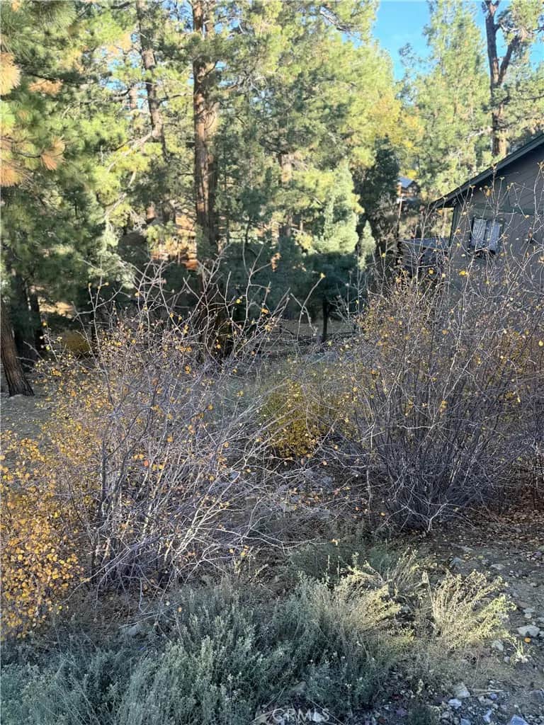 0 Santa Barbara Avenue, Sugarloaf, CA — listing photo 1