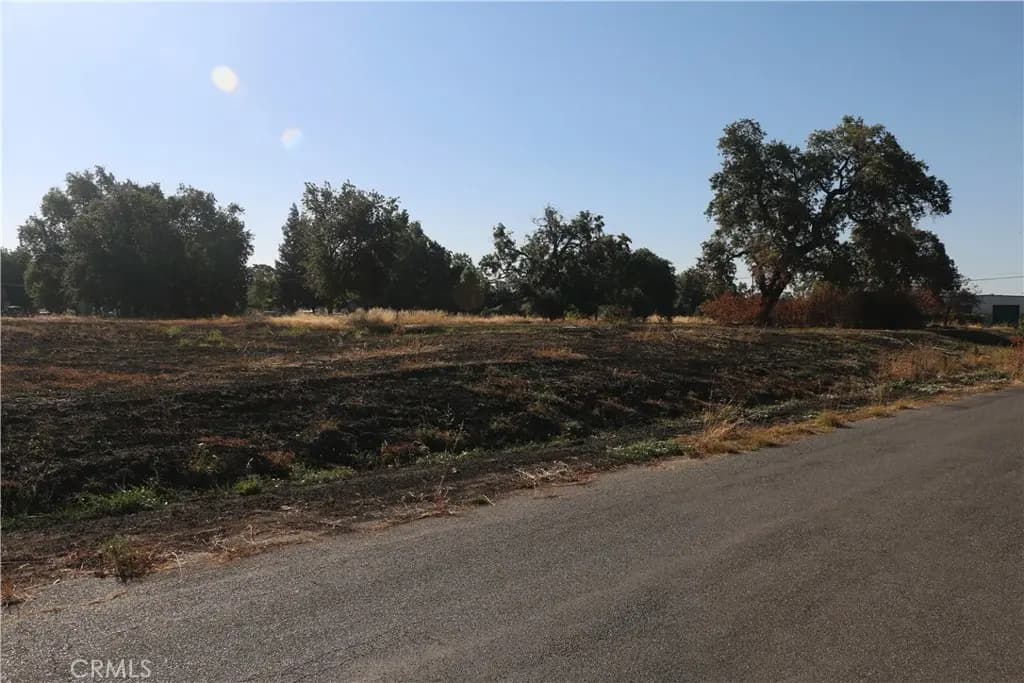 0 Walsh Avenue, Hamilton City, CA — listing photo 1